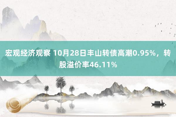 宏观经济观察 10月28日丰山转债高潮0.95%，转股溢价率46.11%