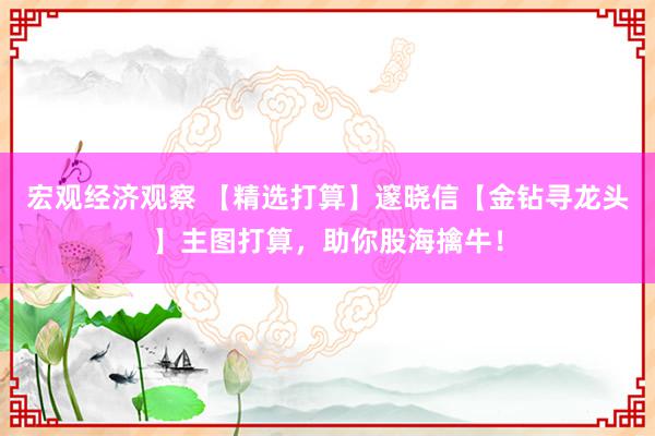 宏观经济观察 【精选打算】邃晓信【金钻寻龙头】主图打算，助你股海擒牛！