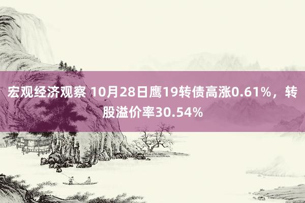 宏观经济观察 10月28日鹰19转债高涨0.61%，转股溢价率30.54%