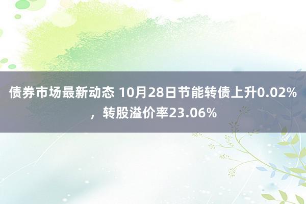 债券市场最新动态 10月28日节能转债上升0.02%，转股溢价率23.06%