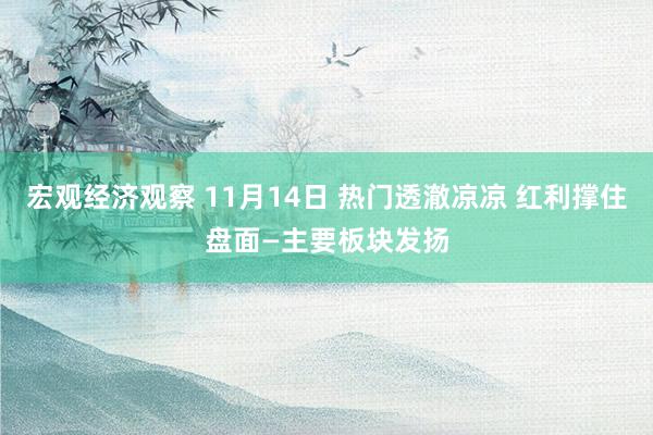 宏观经济观察 11月14日 热门透澈凉凉 红利撑住盘面—主要板块发扬