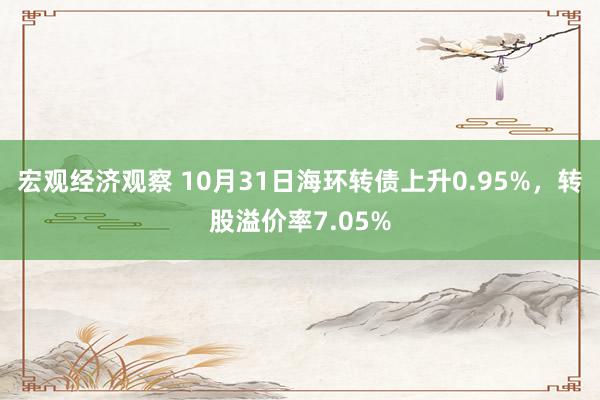 宏观经济观察 10月31日海环转债上升0.95%，转股溢价率7.05%