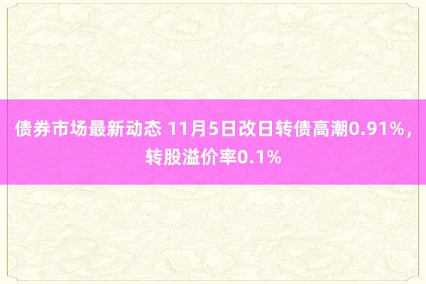 债券市场最新动态 11月5日改日转债高潮0.91%，转股溢价率0.1%