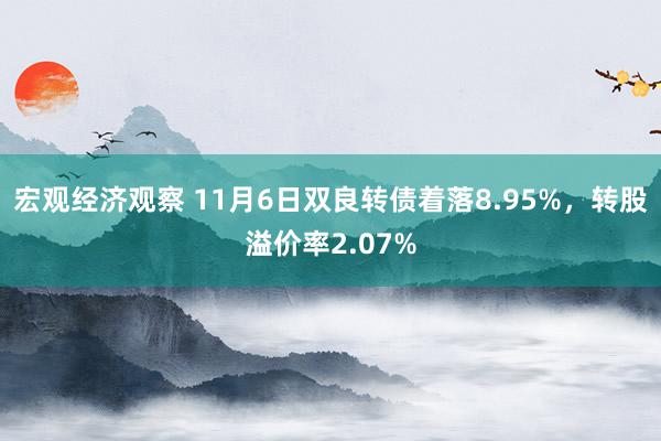 宏观经济观察 11月6日双良转债着落8.95%，转股溢价率2.07%