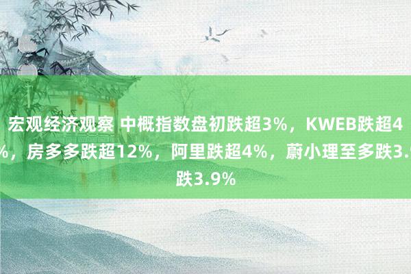 宏观经济观察 中概指数盘初跌超3%，KWEB跌超4.9%，房多多跌超12%，阿里跌超4%，蔚小理至多跌3.9%