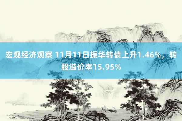 宏观经济观察 11月11日振华转债上升1.46%，转股溢价率15.95%