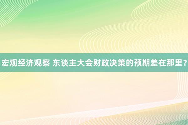 宏观经济观察 东谈主大会财政决策的预期差在那里？