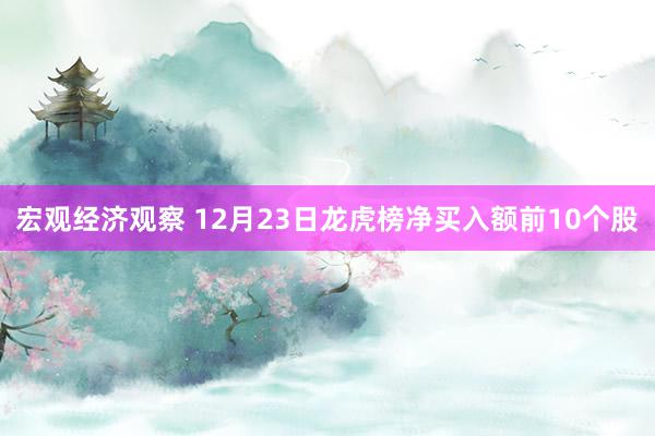 宏观经济观察 12月23日龙虎榜净买入额前10个股