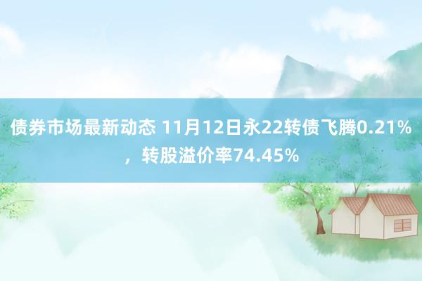 债券市场最新动态 11月12日永22转债飞腾0.21%，转股溢价率74.45%