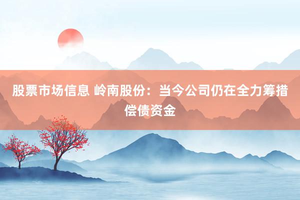 股票市场信息 岭南股份：当今公司仍在全力筹措偿债资金