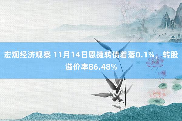 宏观经济观察 11月14日恩捷转债着落0.1%，转股溢价率86.48%