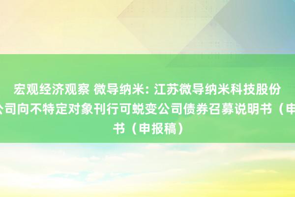 宏观经济观察 微导纳米: 江苏微导纳米科技股份有限公司向不特定对象刊行可蜕变公司债券召募说明书（申报稿）