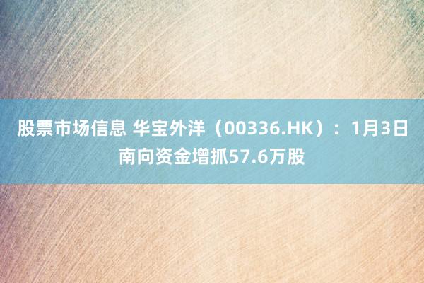 股票市场信息 华宝外洋（00336.HK）：1月3日南向资金增抓57.6万股