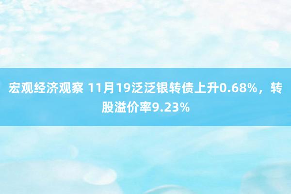 宏观经济观察 11月19泛泛银转债上升0.68%，转股溢价率9.23%