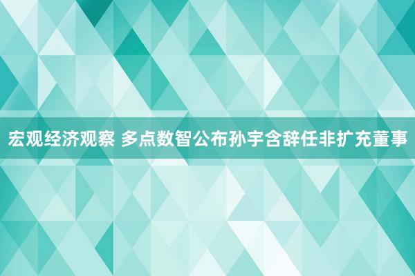 宏观经济观察 多点数智公布孙宇含辞任非扩充董事