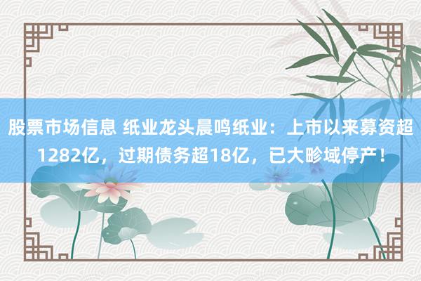 股票市场信息 纸业龙头晨鸣纸业：上市以来募资超1282亿，过期债务超18亿，已大畛域停产！