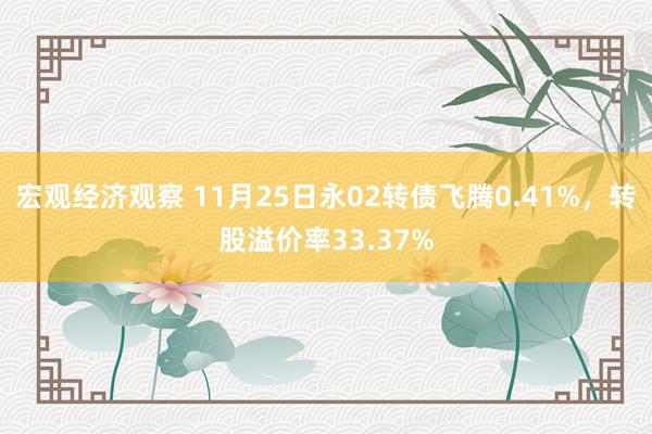 宏观经济观察 11月25日永02转债飞腾0.41%，转股溢价率33.37%