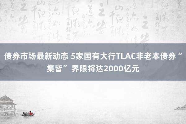 债券市场最新动态 5家国有大行TLAC非老本债券“集皆” 界限将达2000亿元