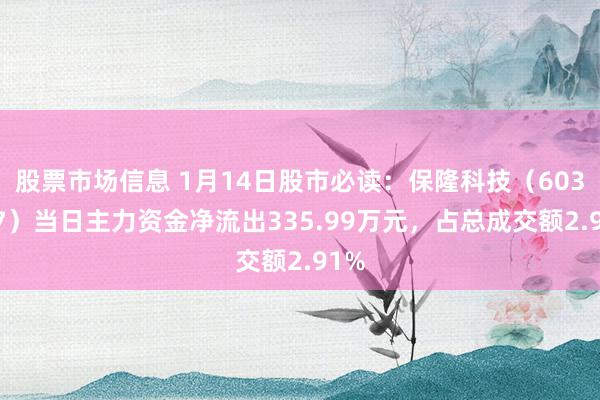 股票市场信息 1月14日股市必读：保隆科技（603197）当日主力资金净流出335.99万元，占总成交额2.91%