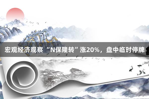 宏观经济观察 “N保隆转”涨20%，盘中临时停牌