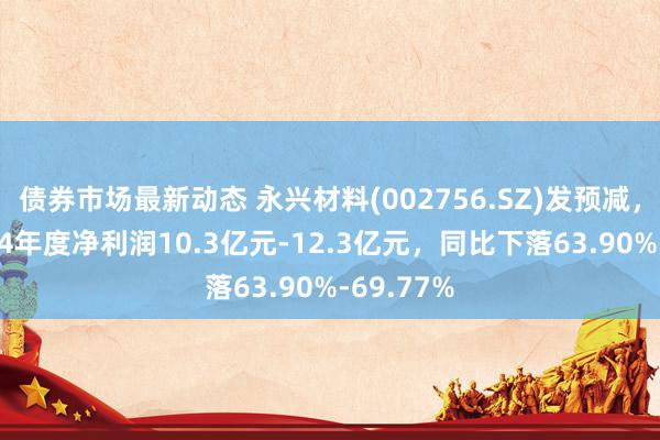 债券市场最新动态 永兴材料(002756.SZ)发预减，预测2024年度净利润10.3亿元-12.3亿元，同比下落63.90%-69.77%