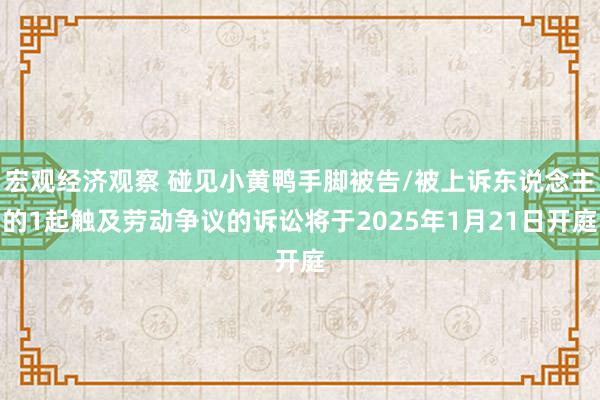 宏观经济观察 碰见小黄鸭手脚被告/被上诉东说念主的1起触及劳动争议的诉讼将于2025年1月21日开庭