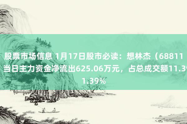 股票市场信息 1月17日股市必读：想林杰（688115）当日主力资金净流出625.06万元，占总成交额11.39%