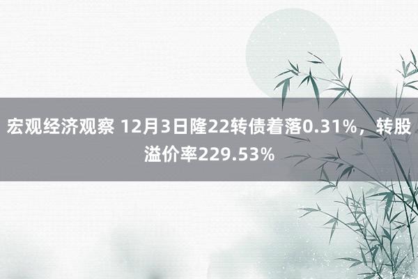 宏观经济观察 12月3日隆22转债着落0.31%，转股溢价率229.53%