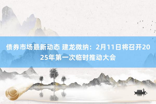 债券市场最新动态 建龙微纳：2月11日将召开2025年第一次临时推动大会