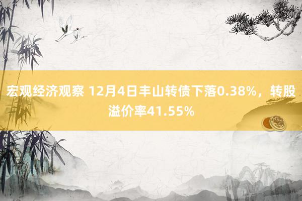 宏观经济观察 12月4日丰山转债下落0.38%，转股溢价率41.55%