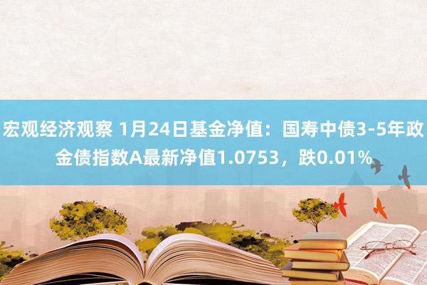 宏观经济观察 1月24日基金净值：国寿中债3-5年政金债指数A最新净值1.0753，跌0.01%