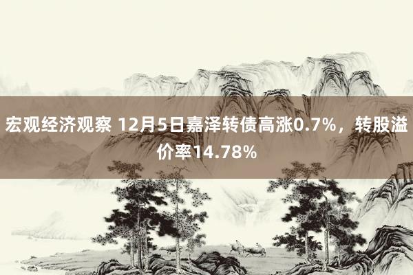 宏观经济观察 12月5日嘉泽转债高涨0.7%，转股溢价率14.78%