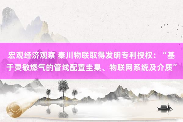 宏观经济观察 秦川物联取得发明专利授权：“基于灵敏燃气的管线配置圭臬、物联网系统及介质”