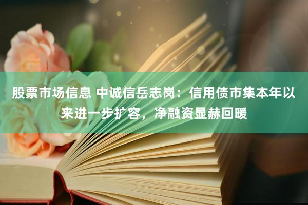 股票市场信息 中诚信岳志岗：信用债市集本年以来进一步扩容，净融资显赫回暖