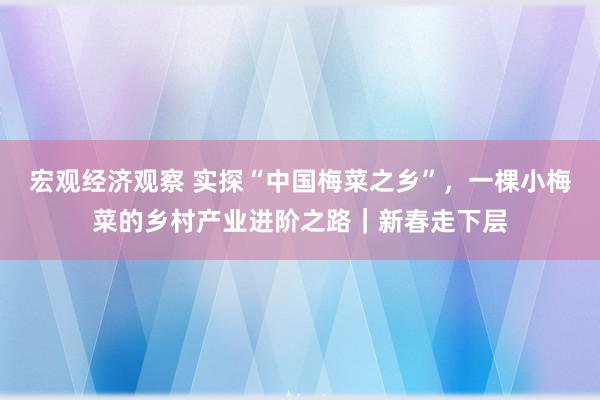 宏观经济观察 实探“中国梅菜之乡”，一棵小梅菜的乡村产业进阶之路｜新春走下层