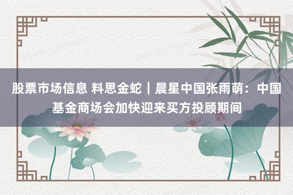 股票市场信息 料思金蛇｜晨星中国张雨萌：中国基金商场会加快迎来买方投顾期间