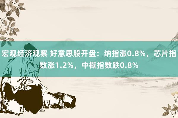 宏观经济观察 好意思股开盘：纳指涨0.8%，芯片指数涨1.2%，中概指数跌0.8%