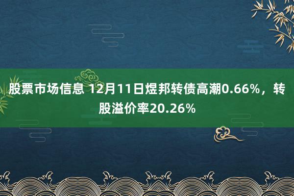 股票市场信息 12月11日煜邦转债高潮0.66%，转股溢价率20.26%