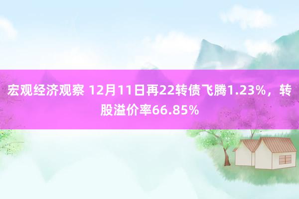 宏观经济观察 12月11日再22转债飞腾1.23%，转股溢价率66.85%