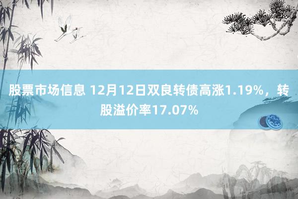 股票市场信息 12月12日双良转债高涨1.19%，转股溢价率17.07%