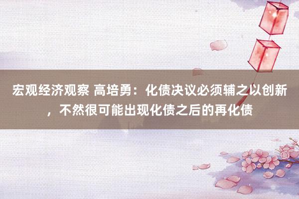 宏观经济观察 高培勇：化债决议必须辅之以创新，不然很可能出现化债之后的再化债