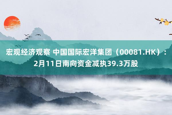 宏观经济观察 中国国际宏洋集团（00081.HK）：2月11日南向资金减执39.3万股