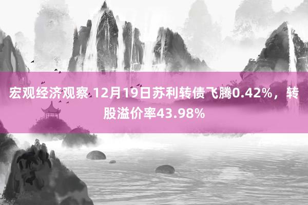 宏观经济观察 12月19日苏利转债飞腾0.42%，转股溢价率43.98%