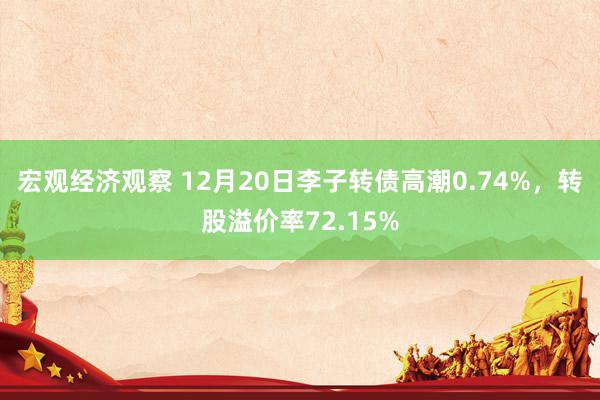 宏观经济观察 12月20日李子转债高潮0.74%，转股溢价率72.15%