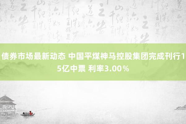 债券市场最新动态 中国平煤神马控股集团完成刊行15亿中票 利率3.00％