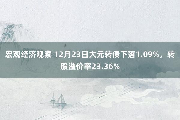 宏观经济观察 12月23日大元转债下落1.09%，转股溢价率23.36%