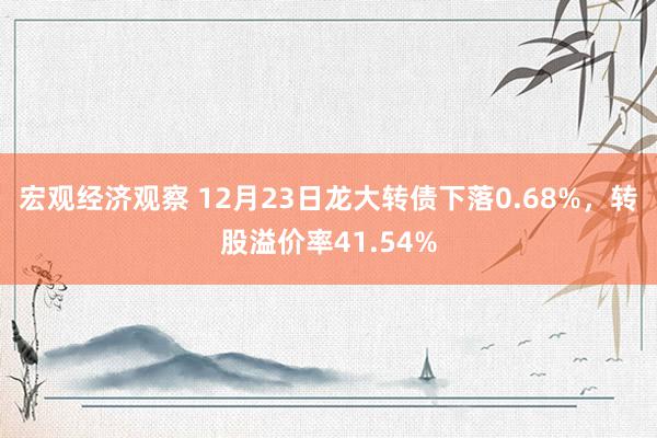 宏观经济观察 12月23日龙大转债下落0.68%，转股溢价率41.54%