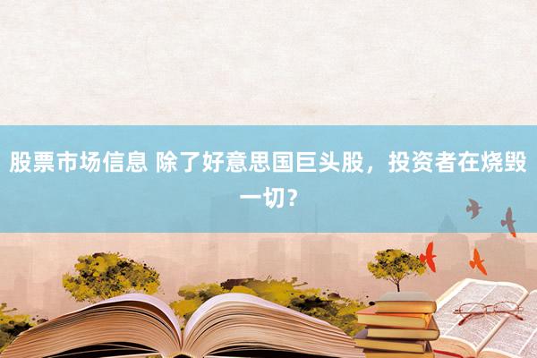 股票市场信息 除了好意思国巨头股，投资者在烧毁一切？