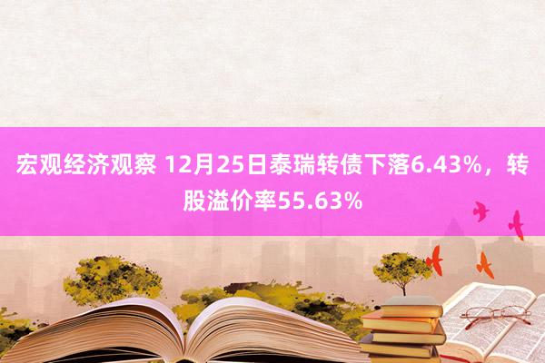 宏观经济观察 12月25日泰瑞转债下落6.43%，转股溢价率55.63%