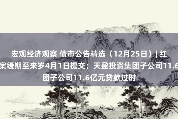 宏观经济观察 债市公告精选（12月25日）| 红星控股重整草案缓期至来岁4月1日提交；天盈投资集团子公司11.6亿元贷款过时